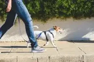 걷기
