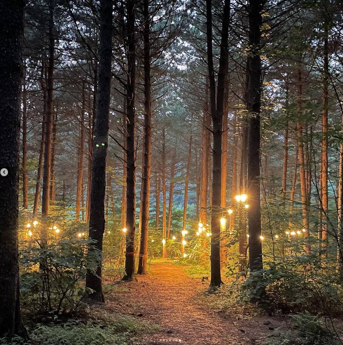 백두대간 봉자페스티벌