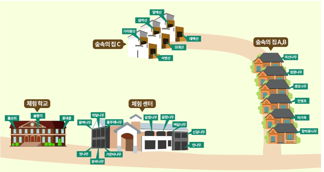 [강원도 정선 백두대간 생태수목원] 여름 프로그램·숙소 예약·요금·환불 규정 총정리!