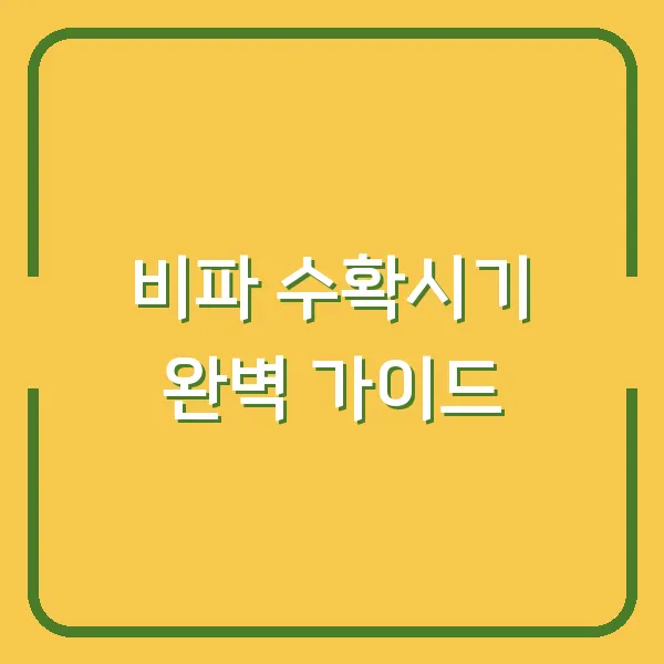 비파 수확시기 완벽 가이드