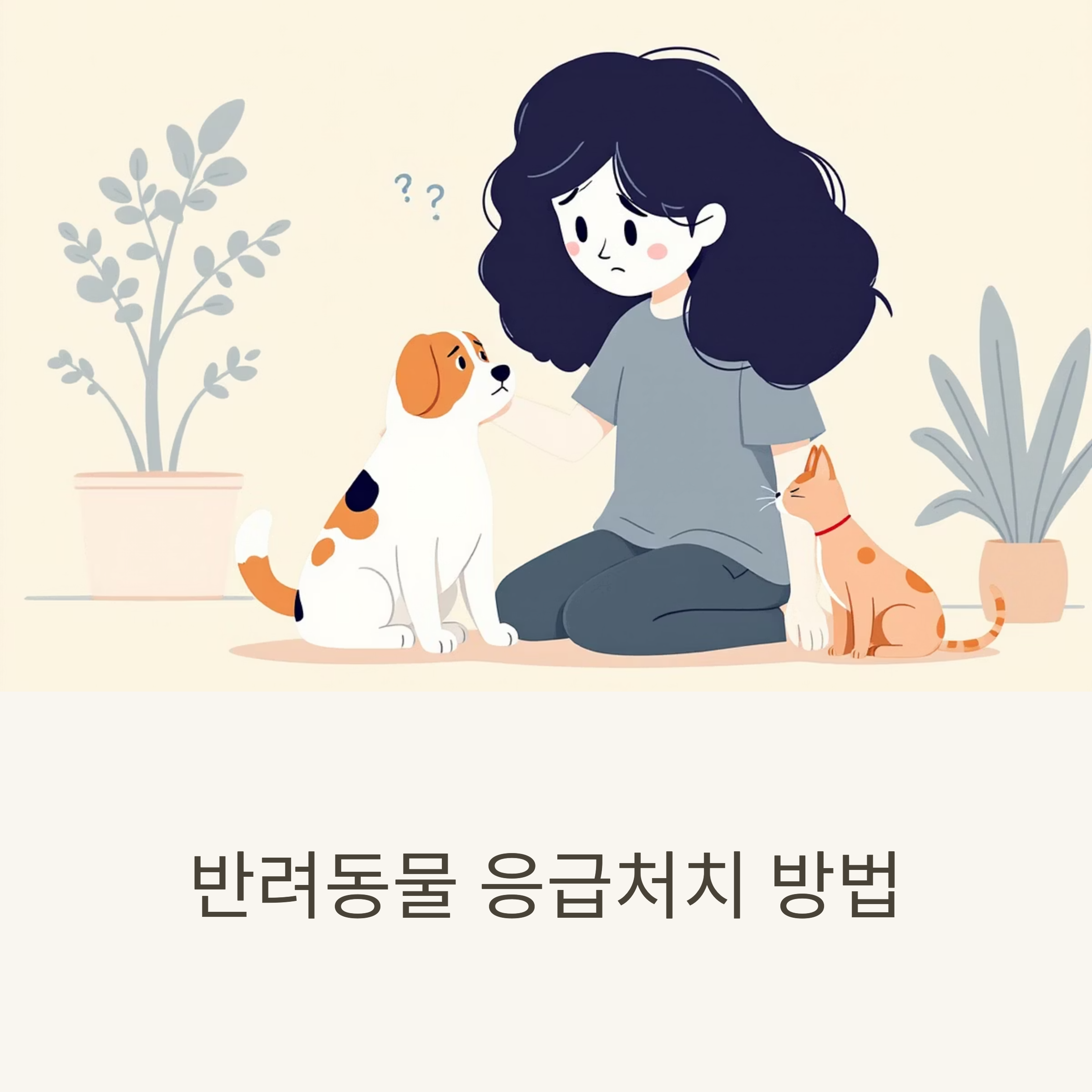 반려동물 응급처치 방법