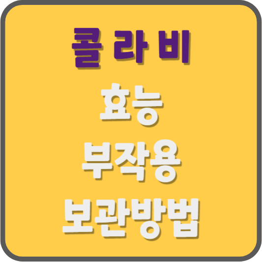 콜라비 kohlrabi 효능 부작용 보관방법