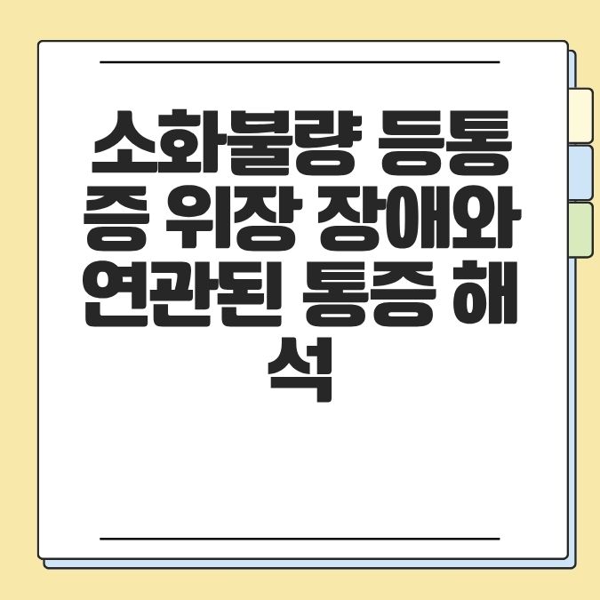 소화불량 등통증 위장 장애와 연관된 통증 해석