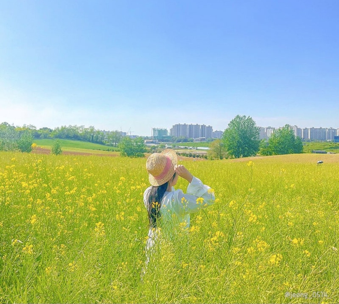 4월 5월 경기도 가볼만 한 곳