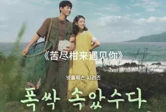 폭삭 속았수다 뜻과 실제 사용 예시_5