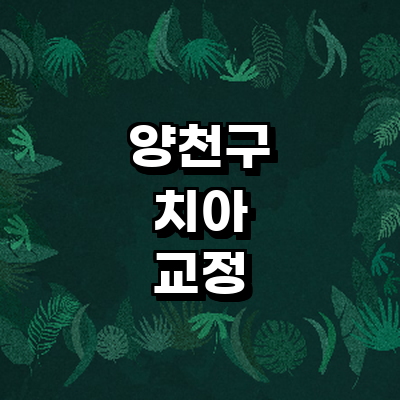 서울 양천구 교정 치과