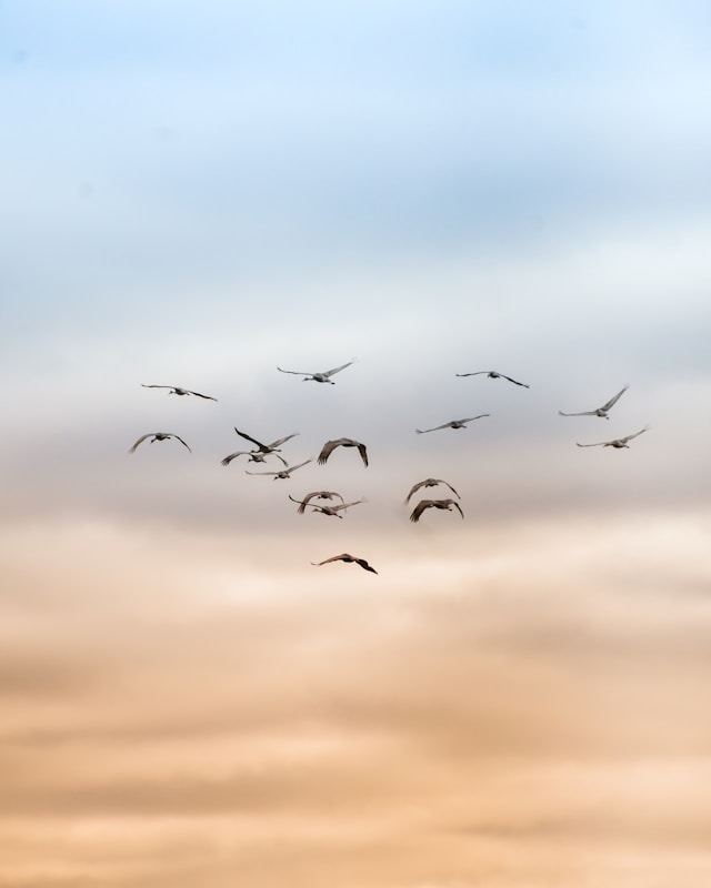 정동진 일출 시간 2026 완벽 가이드