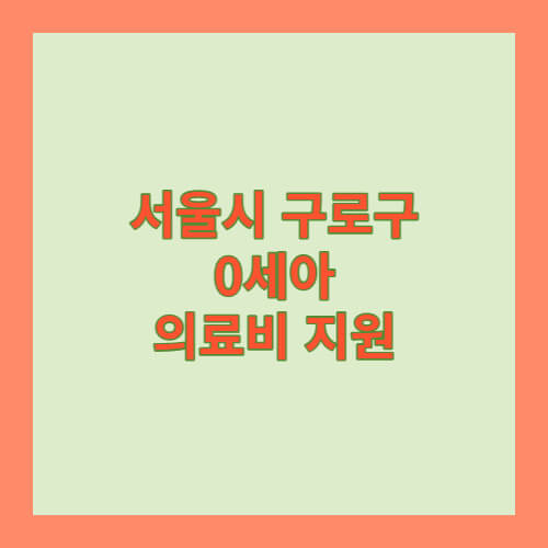 서울시구로구0세아의료비지원