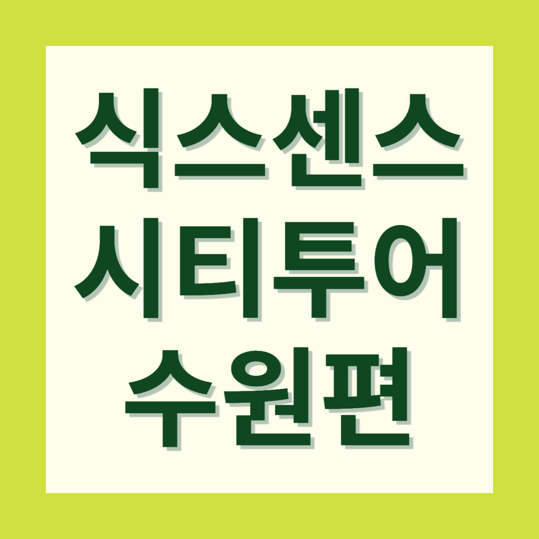 식스센스 시티투어 수원편