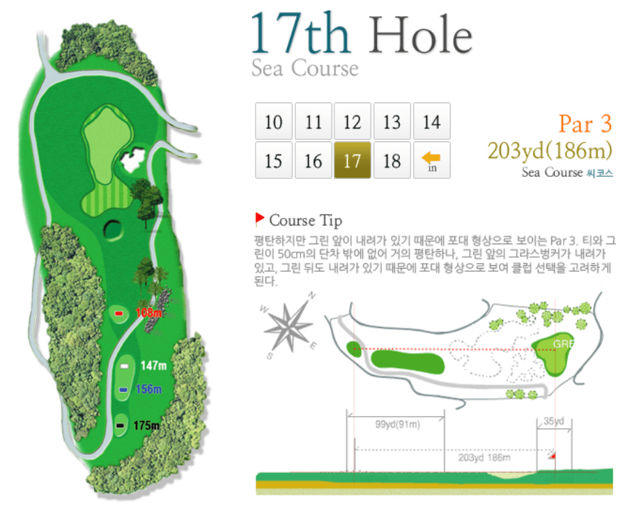 그린필드 컨트리클럽 씨코스 8