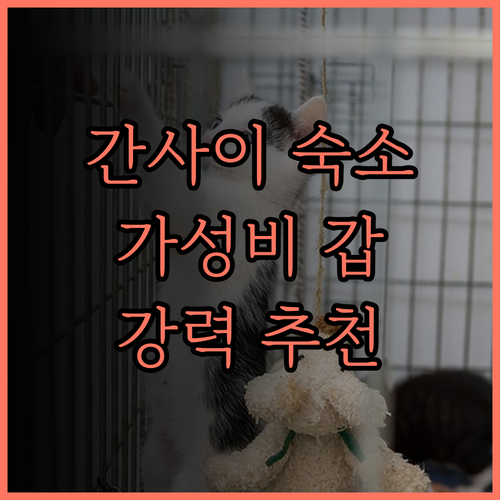 간사이 공항 근처 숙소 시티 호텔 에