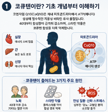 코큐텐-효능-혈압-효과-성분-함량-복용시간-추천-제품