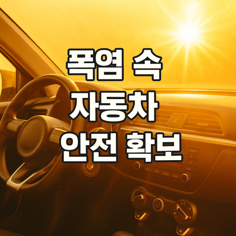 폭염 속 자동차 안전 확보 차량 내부 온도 관리와 소화기 비치 관련사진