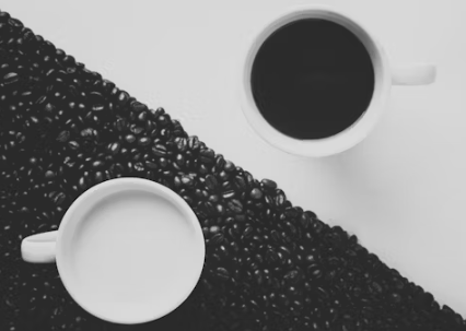 카페창고 창업에 대하여 알아보기