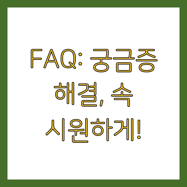 2025년 무사고운전경력증명서 발급 방법 및 혜택