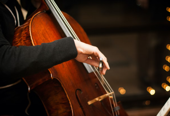 첼로 연주 사진