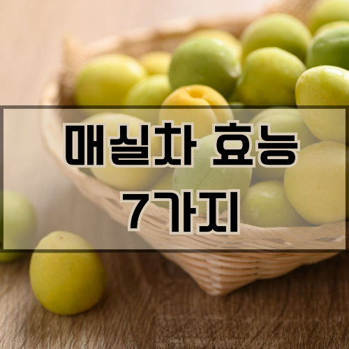매실차 효능