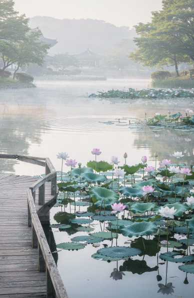 전주 근교 산책·달리기·트레킹 명소 7곳 | 주말 액티비티 완벽 가이드