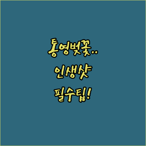 통영 벚꽃 구경하기 좋은 곳 BEST..