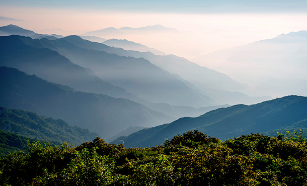 전시&amp;#44; 홍보행사