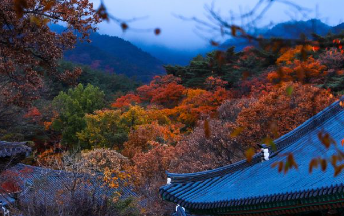 2025 팔공산 단풍 절정 시기 공개! 초보자도 즐기는 가을 등산코스 BEST