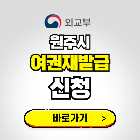 원주시 여권 재발급 온라인 신청하기 ❘ 비용 준비물 가격 기간 보기