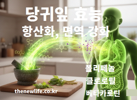 항산화와 면역 강화 효능을 가진 당귀잎을 표현한 건강 이미지