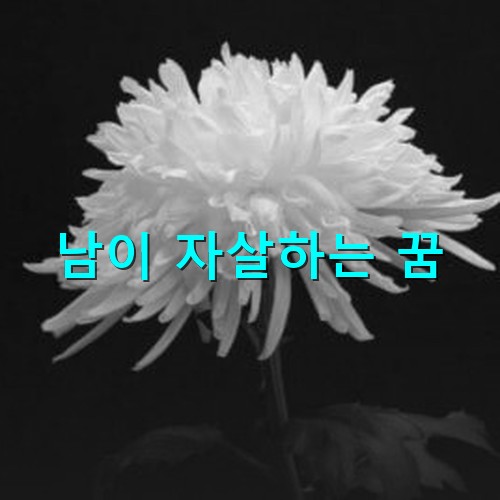 검은-바탕에-하얀-국화꽃송이가-하나하나-애처롭게-보이는-모습