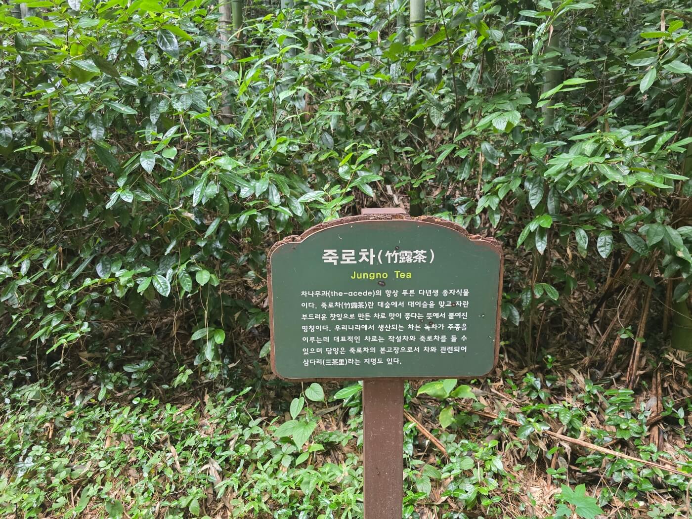 이정표-죽로차