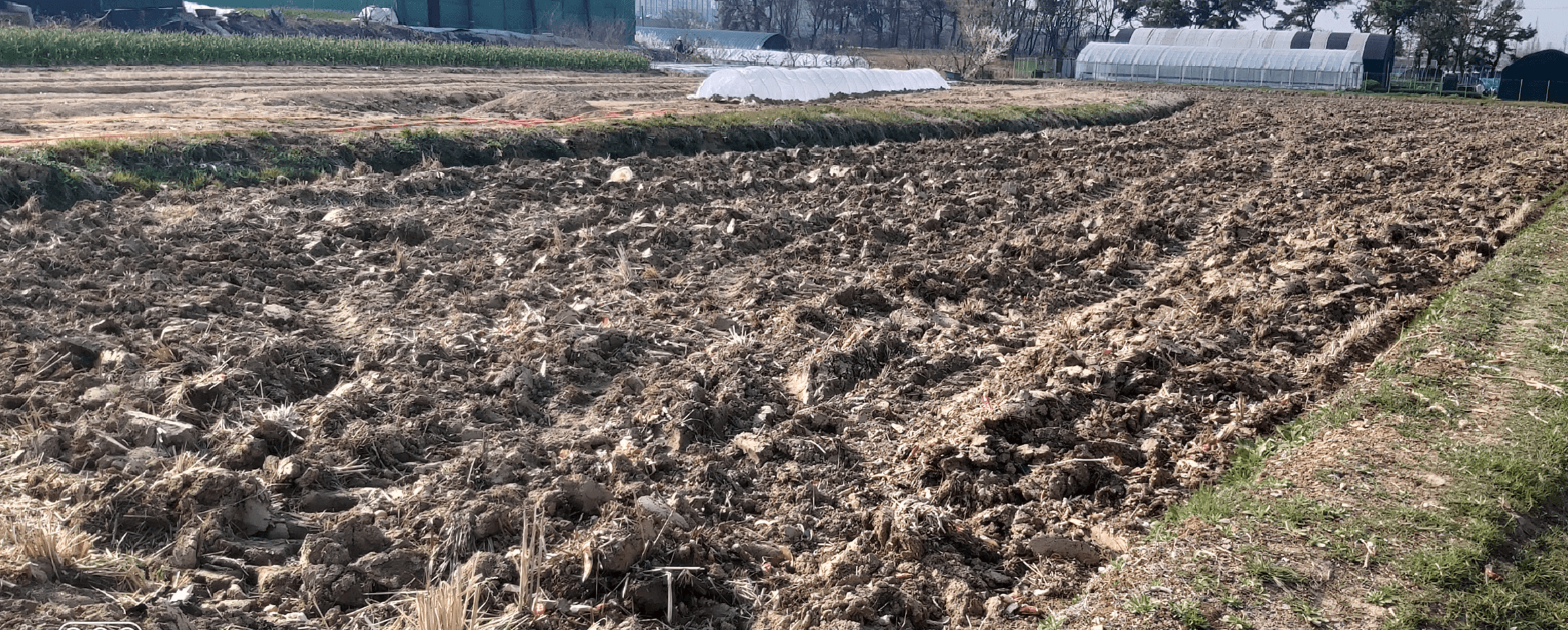 농작물 심을 준비 마친 논