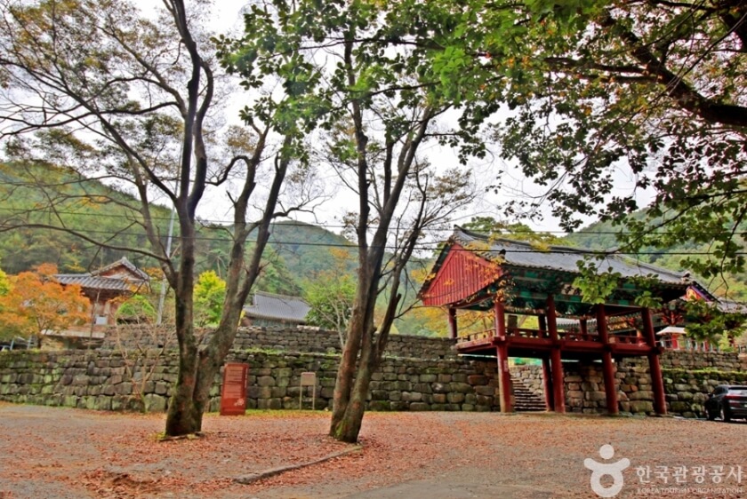 논산 가볼만한곳 베스트 10