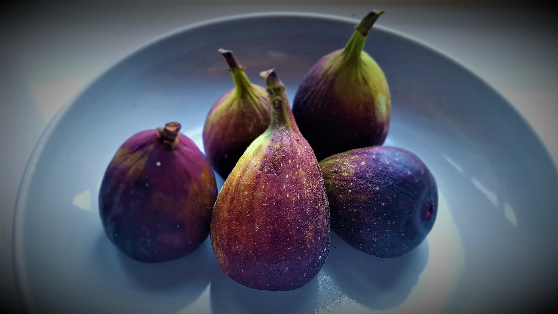 무화과 보관방법 제대로 알고 먹기