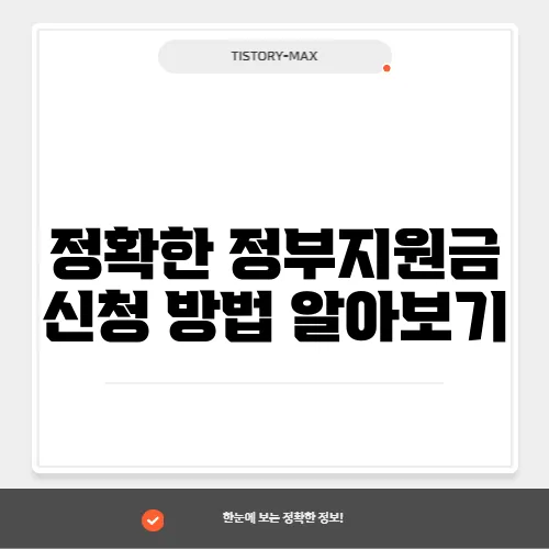 정확한 정부지원금 신청 방법 알아보기