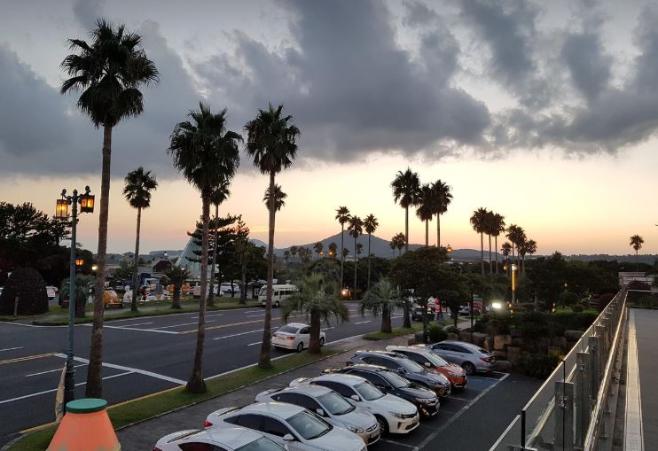 제주도 여행사진