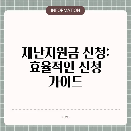 재난지원금 신청: 효율적인 신청 가이드