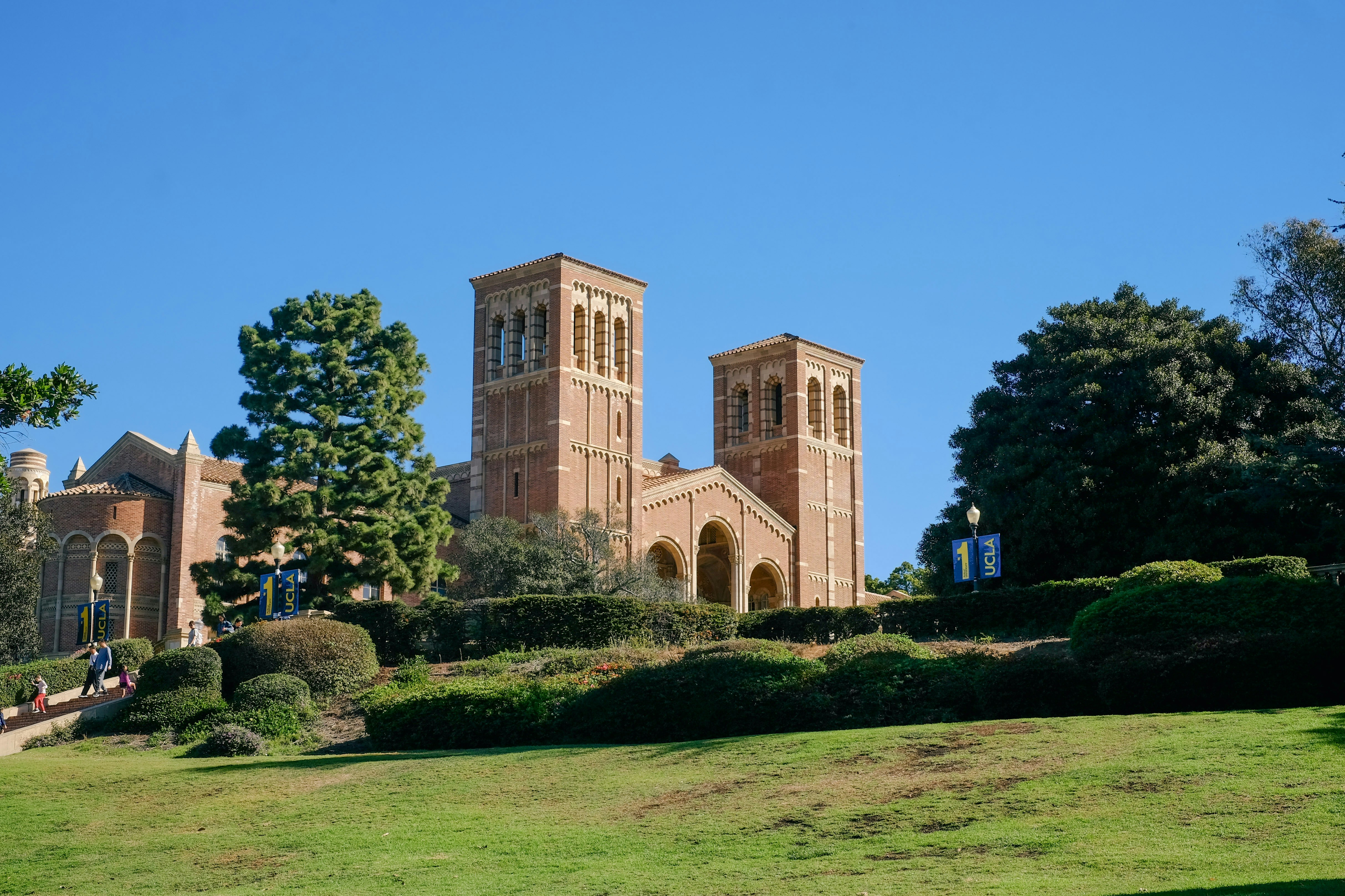 캘리포니아 로이스홀 UCLA