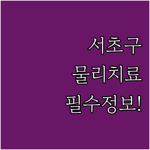 2025년 서초구 물리치료 서비스: ..