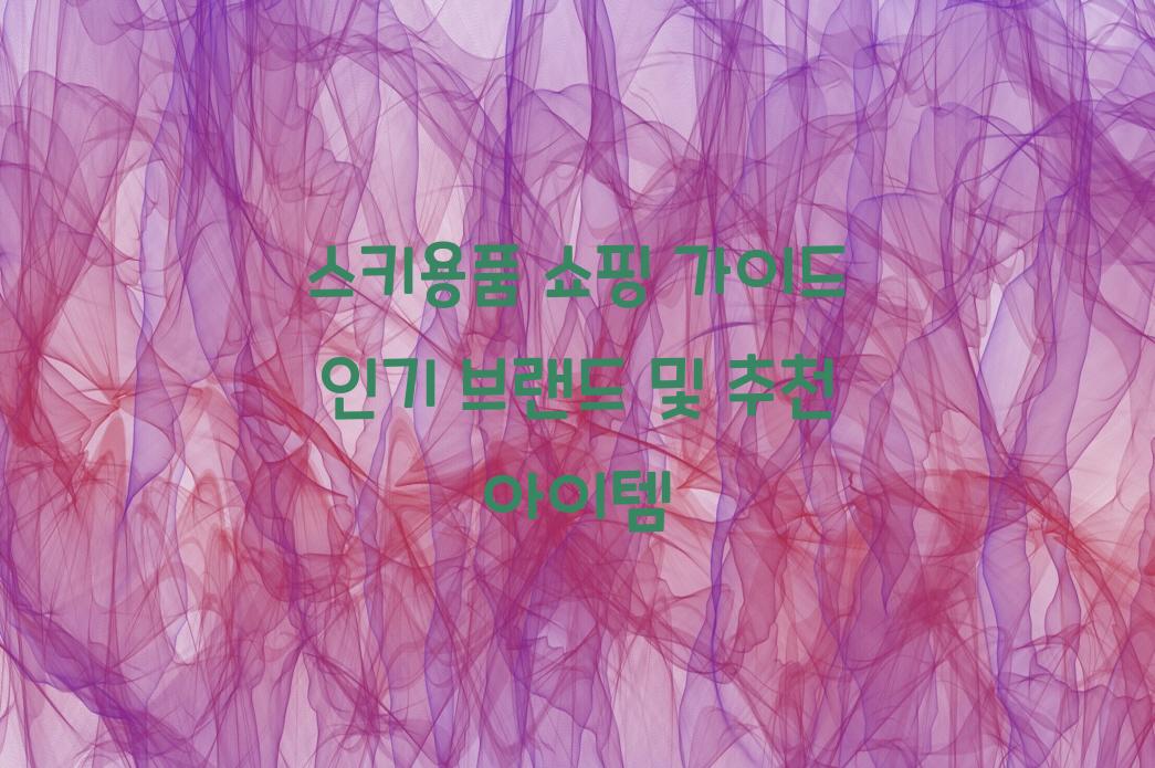스키용품