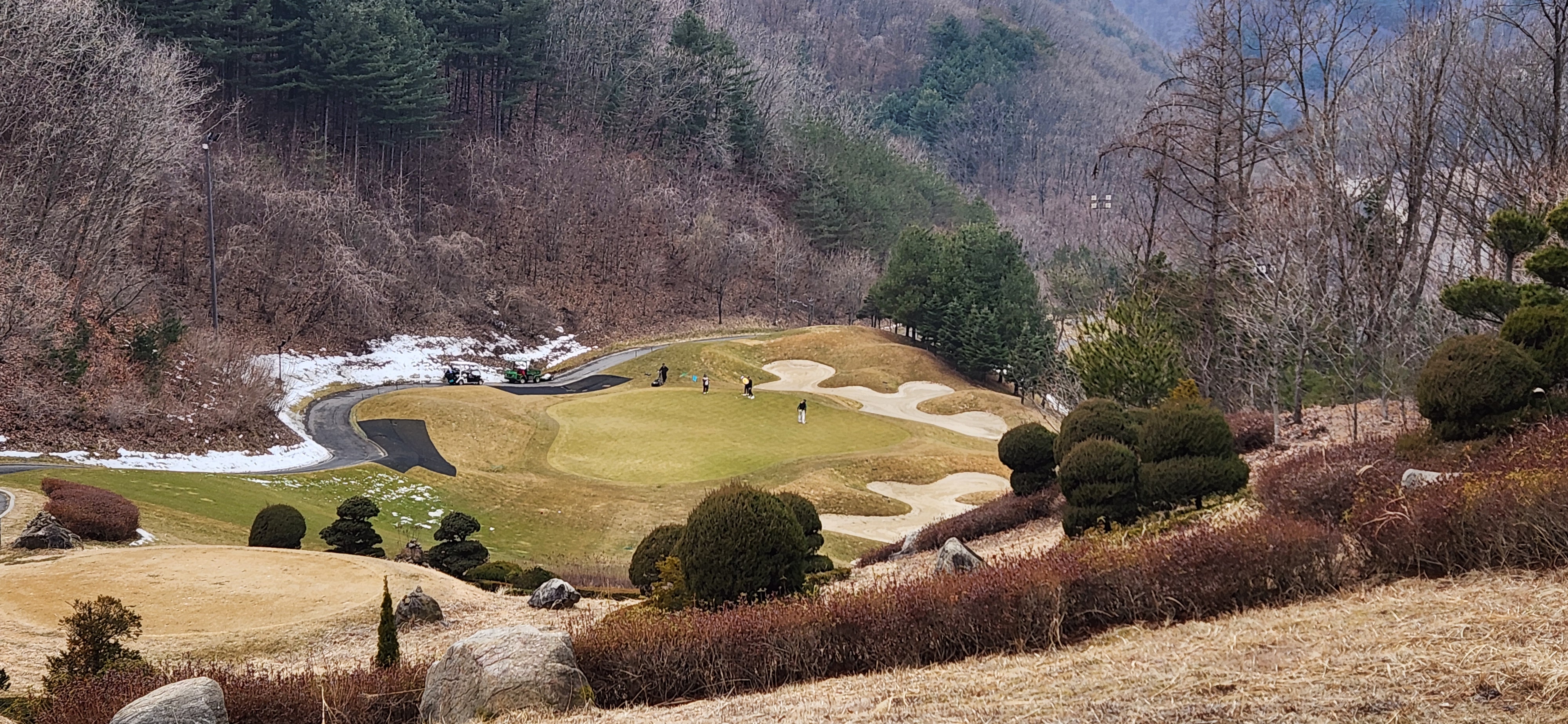 힐드로사이cc