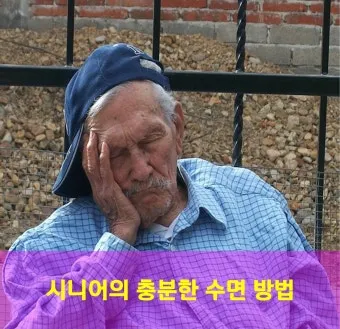 수면 관리 코골이 무호흡 관리 수면위생 낮잠 조절 팁_18