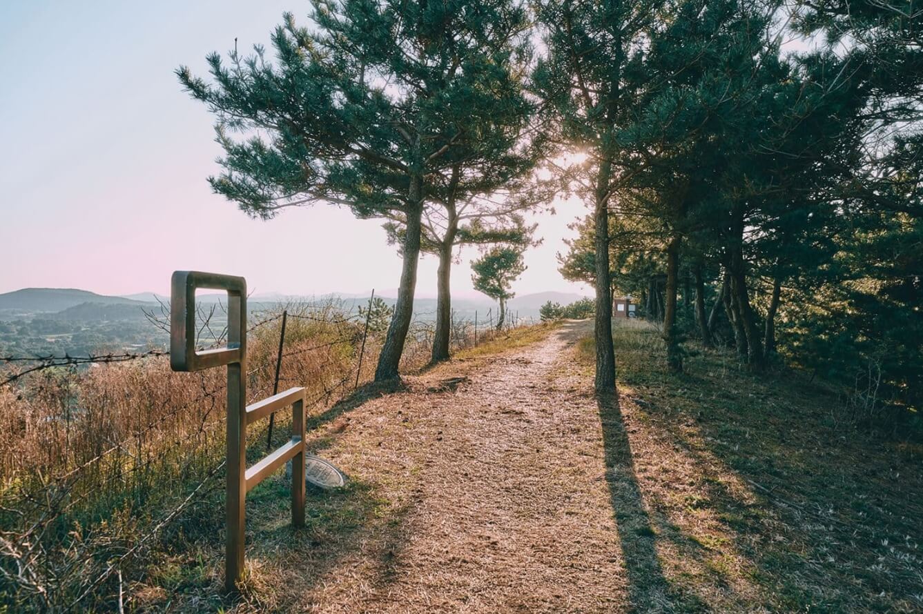 초보자도 쉽게 도전! 걷기 좋은 올레길 BEST 5 🌿