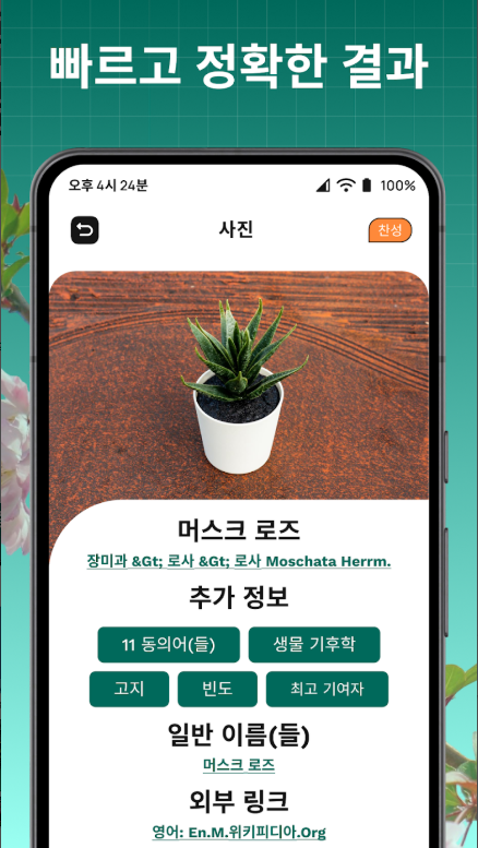 식물 이름 찾기 어플 설치, 식물 찾기