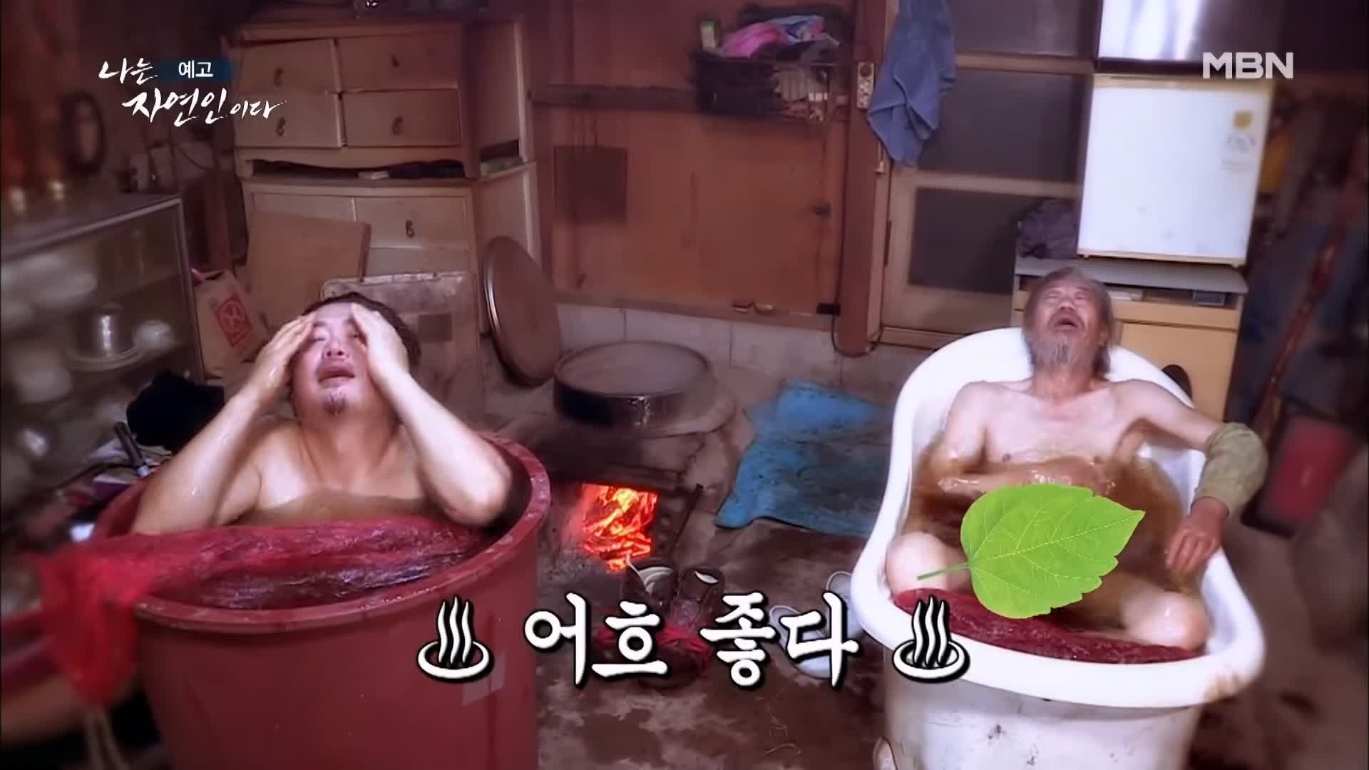 이승윤 윤택 나는 자연인이다 내가 산에 사는 재미 하수오 제피 담금주 골쇄보 자연인 배정수 소개 및 출연 529회 다시보기