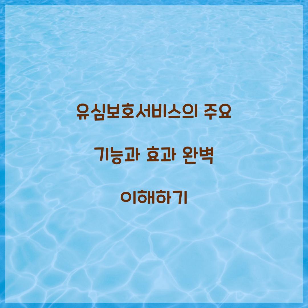 유심보호서비스의 주요 기능과 효과