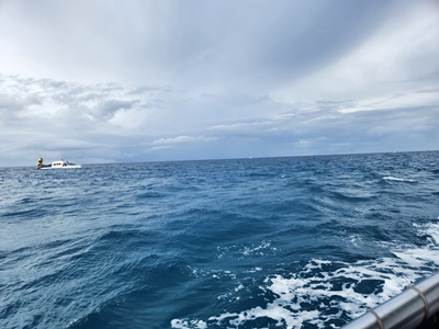 거북이스노쿨링출발