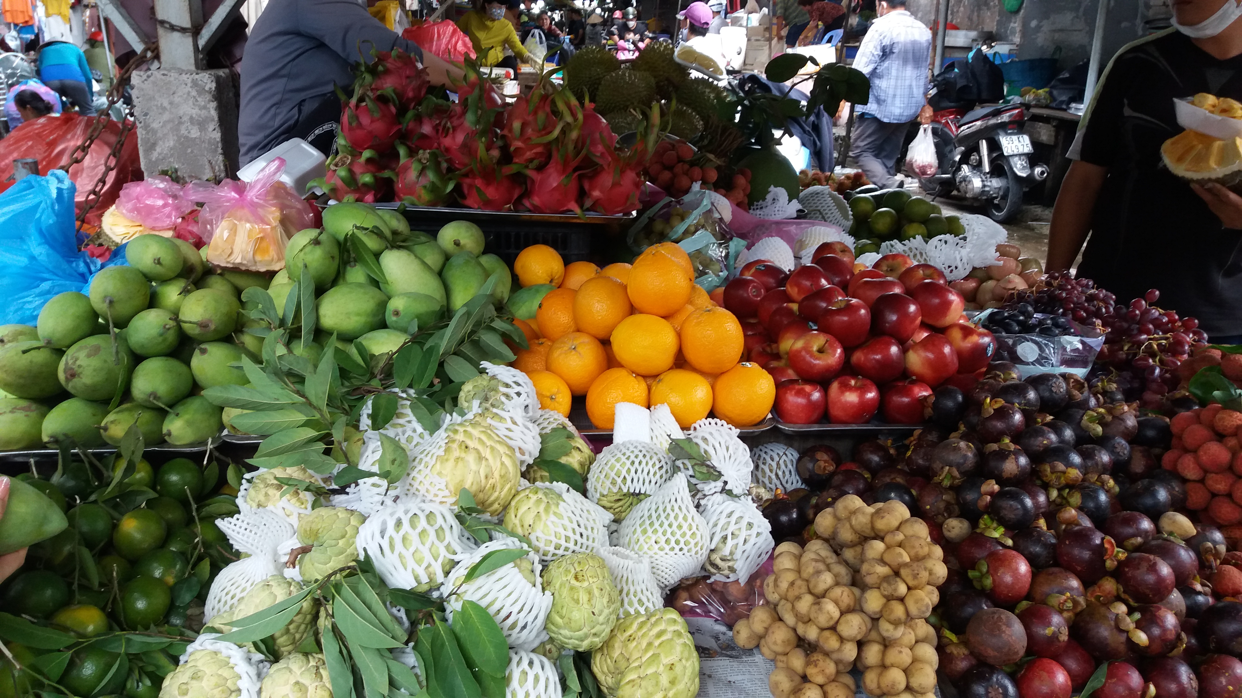 ํธ์น๋ฏผ ์ ํต์์ฅ ๊ณผ์ผ