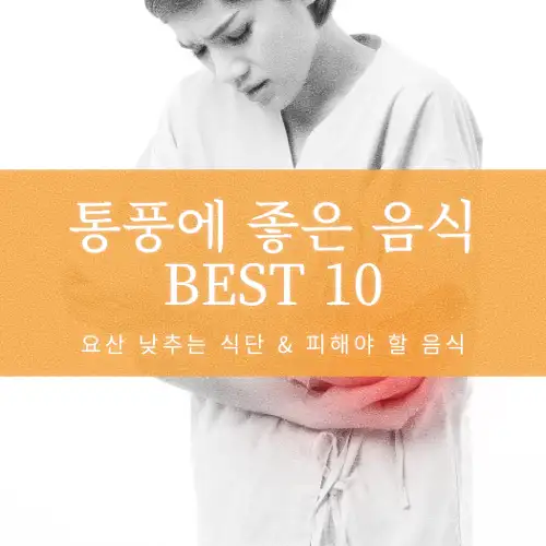 통풍에 좋은 음식 BEST 10
