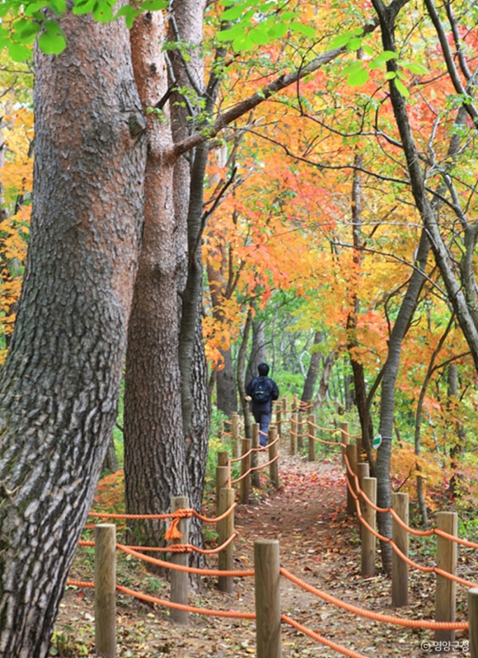 영양 가볼만한곳 베스트10