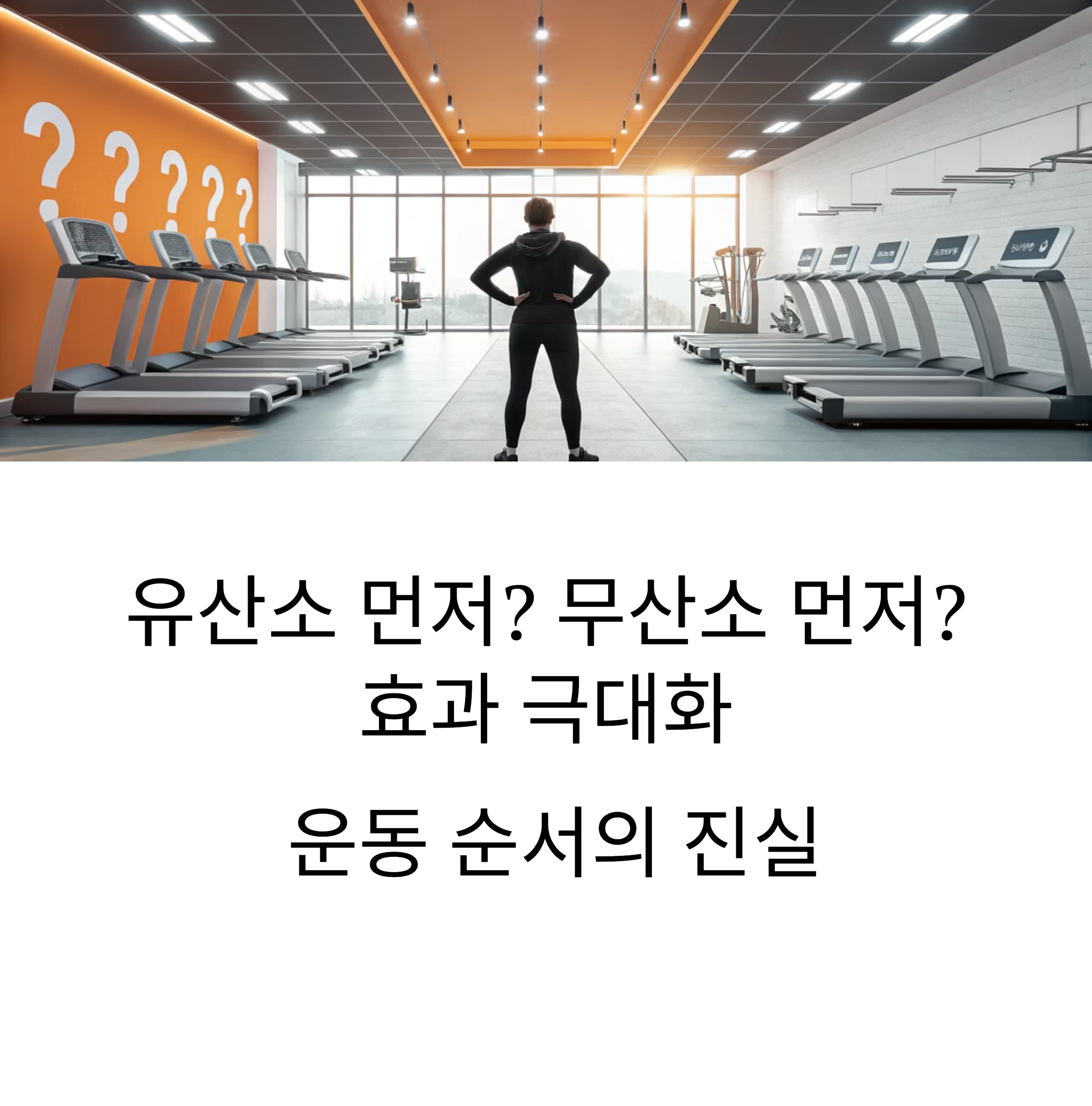 효과 극대화 운동 순서의 진실