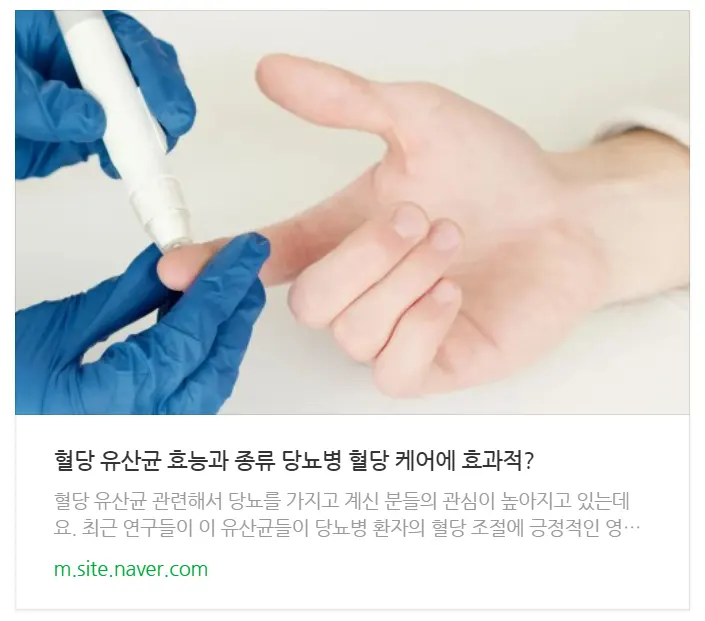 혈당 유산균